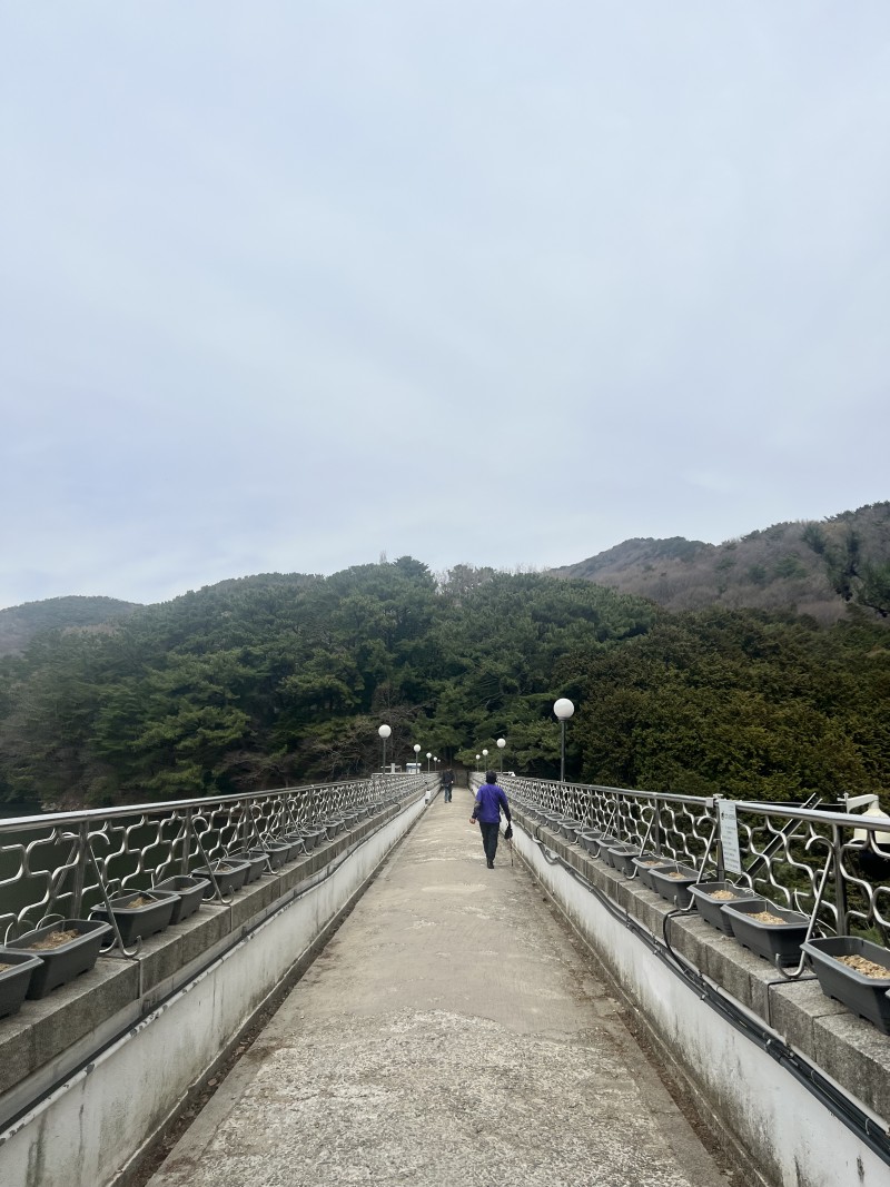 9eaa314a2a8a29d03b767b8e5dfd8761_1743233518_471.jpeg